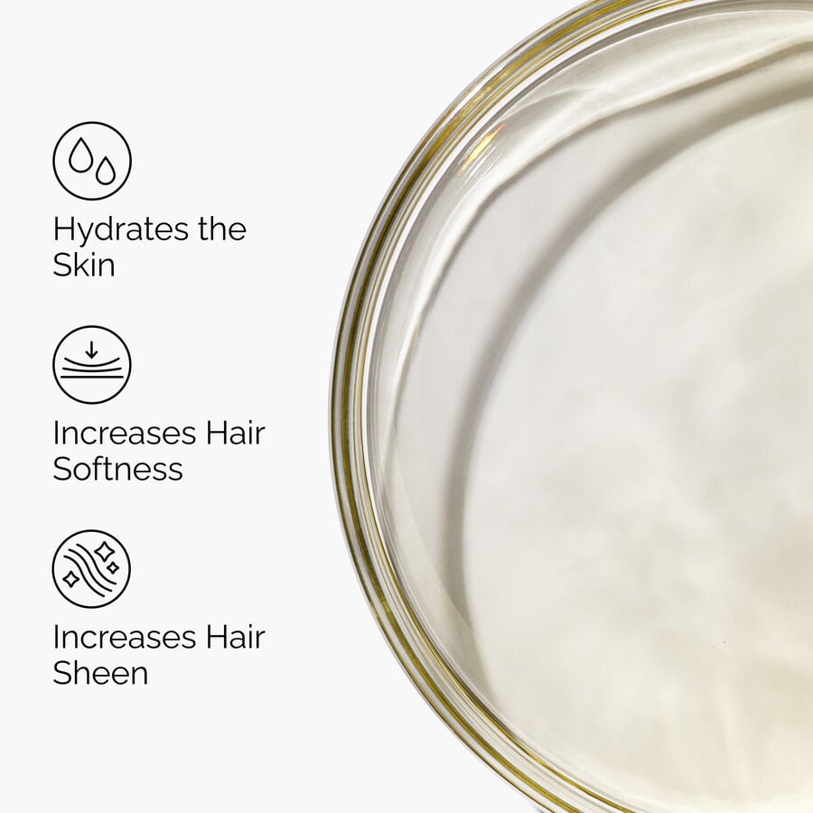 100-organic-cold-pressed-moroccan-argan-oil-k9 FY25-D41247-ORD-Web-PDP-100-Argan-Oil-1x1-EN-3.jpg