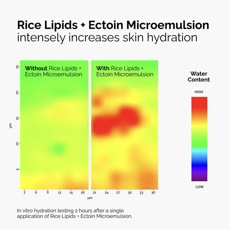rice-lipids-ectoin-microemulsion-n3 ord-rice-lipids-ectoin-microemulsion-thermal-before-after.jpg